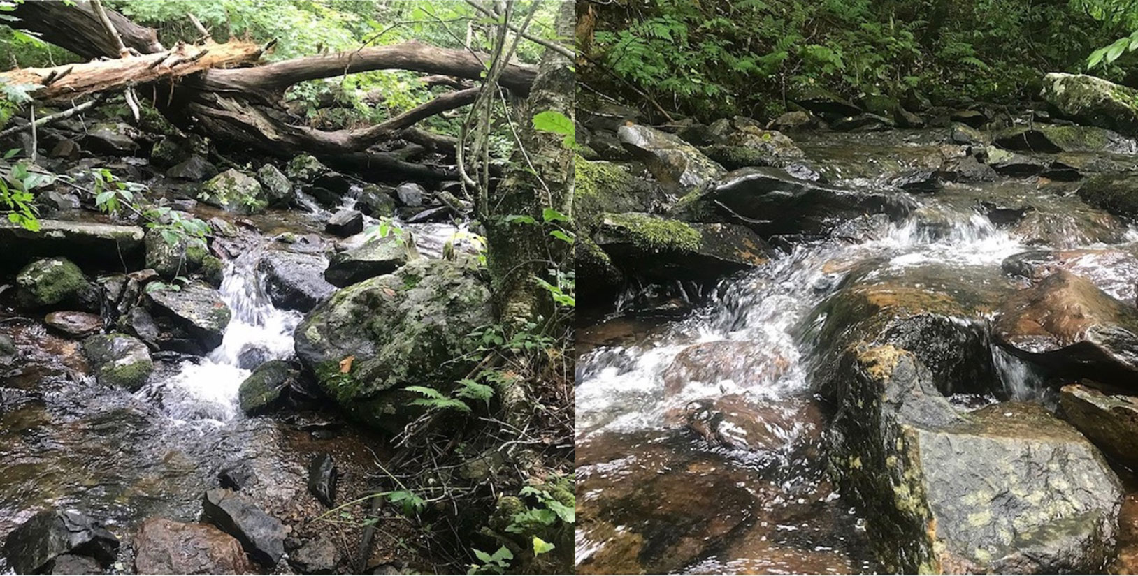 West Virginia trip, bubbling streams