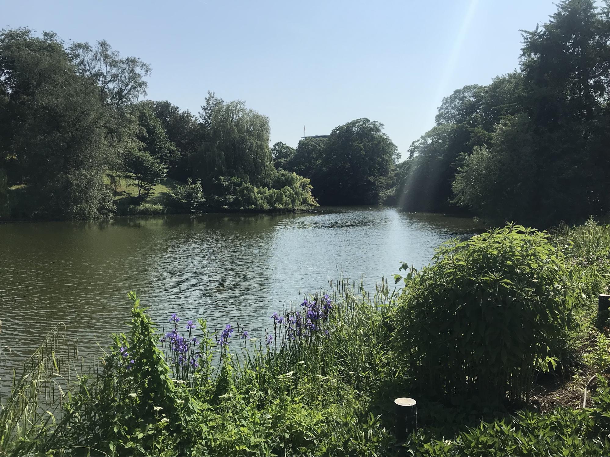 beautiful park right in the heart of that same area called Orstedparken